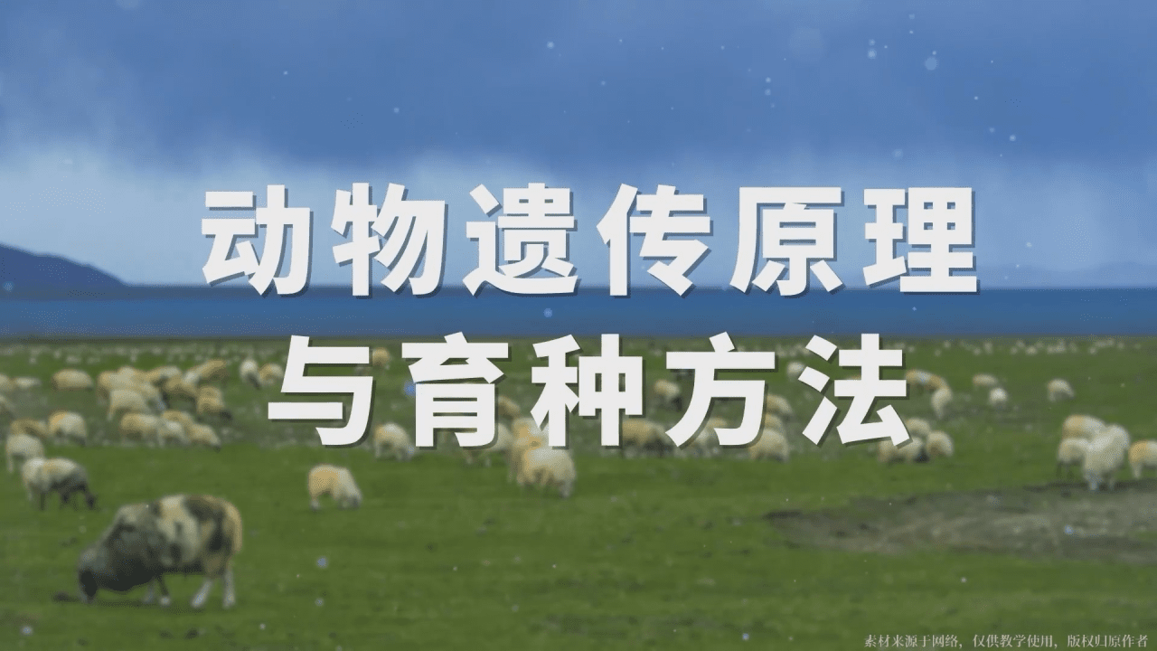 动物遗传原理与育种方法
