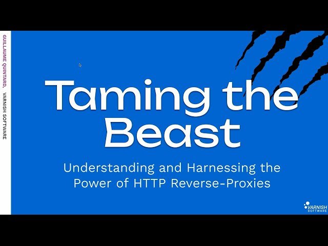 Taming the Beast: Understanding and Harnessing the Power of HTTP Proxies