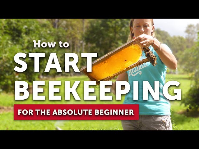 How to Start Beekeeping - A Complete Guide for Beginners