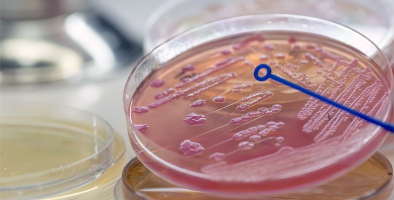 Laboratory Skills for Biology and Health