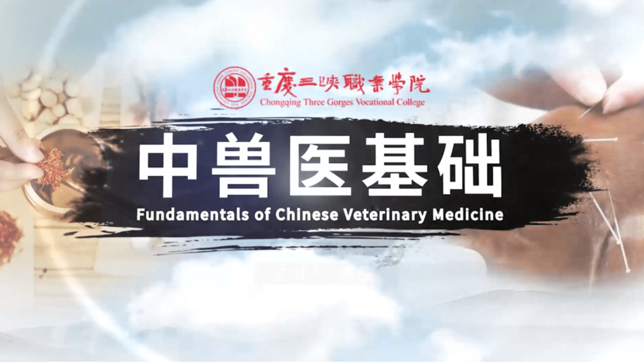 Fundamentals of chinese Veterinary Medicine