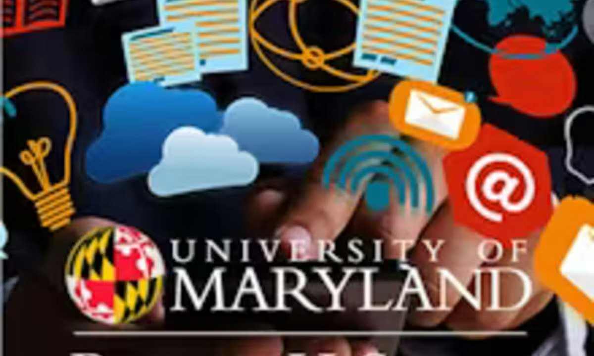 AI Empowerment for Small Businesses