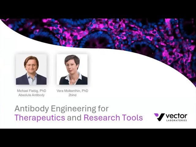 Antibody Engineering for Therapeutics and Research Tools