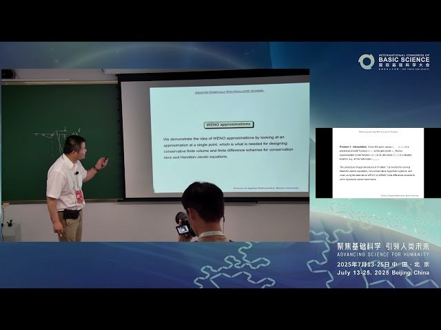 Weighted Essentially Non-Oscillatory Schemes - Survey and Recent Developments