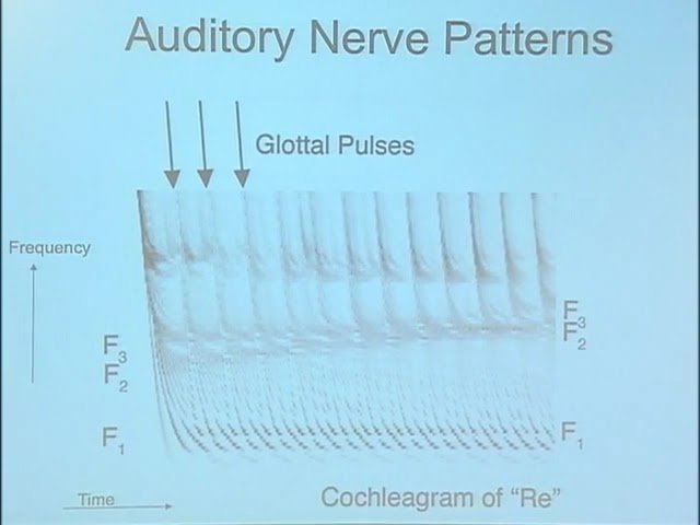 Top-Down Auditory Processing and Why Yahoo Cares