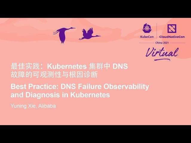 DNS Failure Observability and Diagnosis in Kubernetes