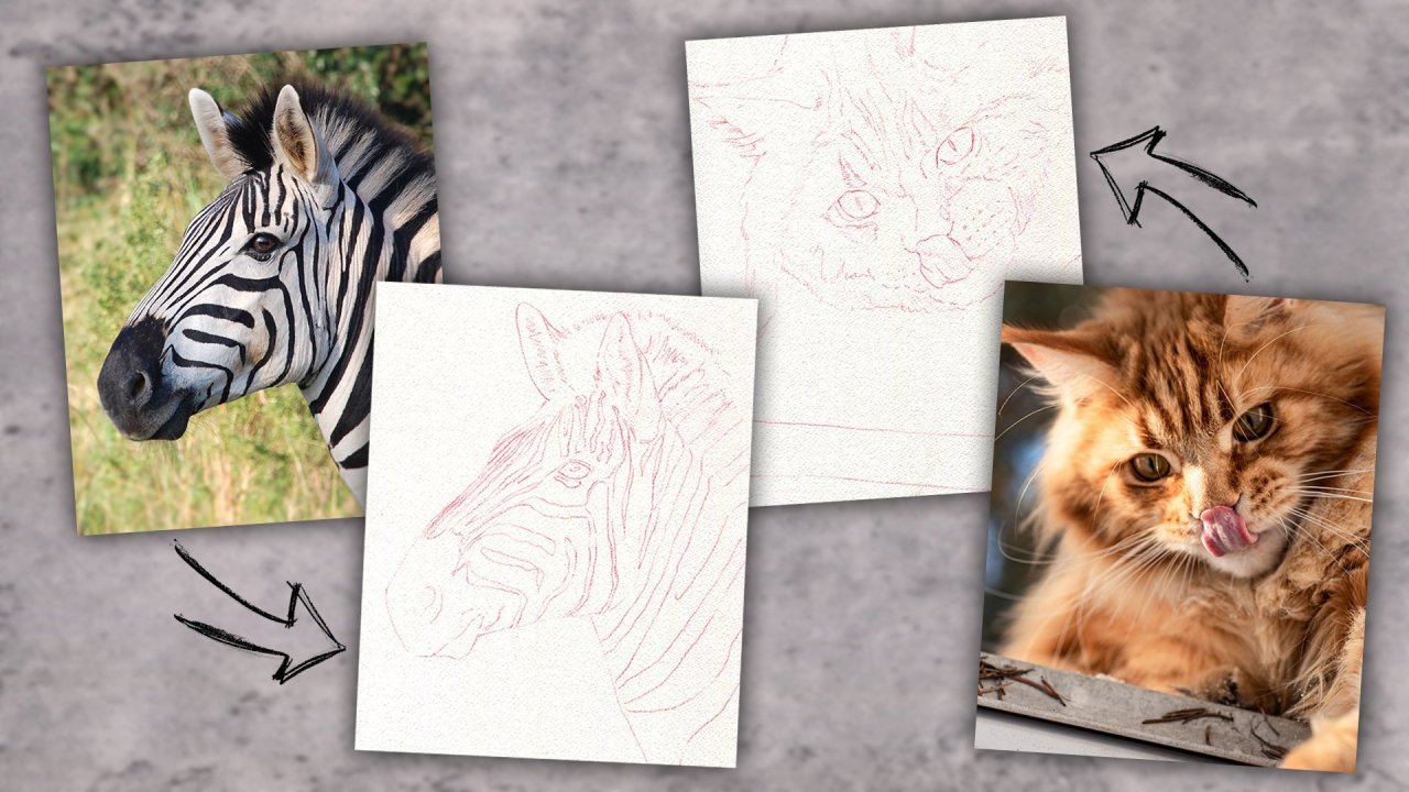Online Course: Embracing Tracing: Transferring Reference Images for ...