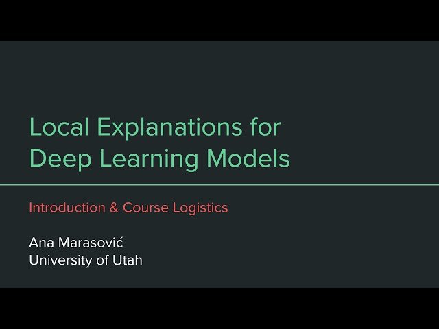 Local Explanations for Deep Learning Models - Fall 2023