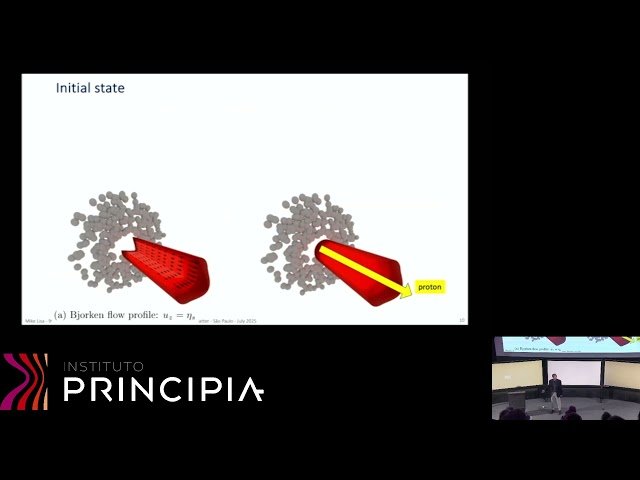 Vortex Rings, Spin-Hydrodynamics, and Effective Action for Relativistic Hydrodynamics
