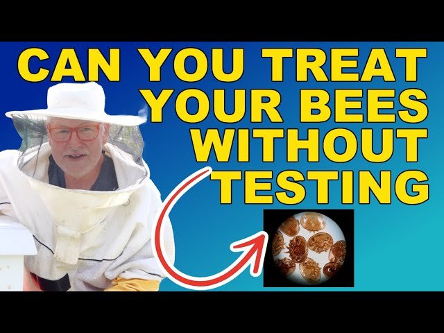 Treating for Varroa Mites in Beekeeping - Testing vs Direct Treatment