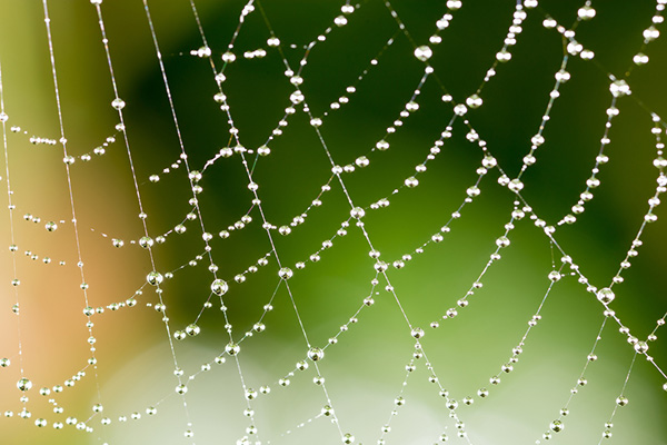GraphAI: Python for Complex Networks