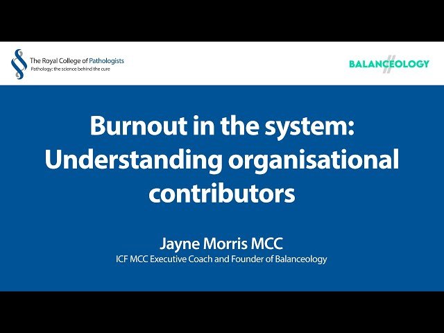 Burnout in the System - Understanding Organisational Contributors