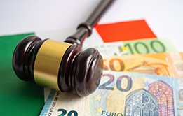 International Investment Law and the Environment