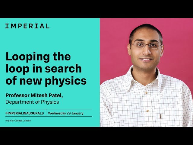 Looping the Loop in Search of New Physics