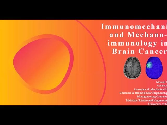 Immunomechanics and Mechano-Immunology in Brain Cancer