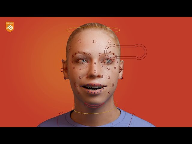 Rigify Modular Face Rigging Skin System