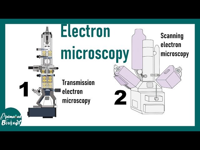 Electron Microscopy Detailed Concepts - SEM vs TEM Working Principles and Applications