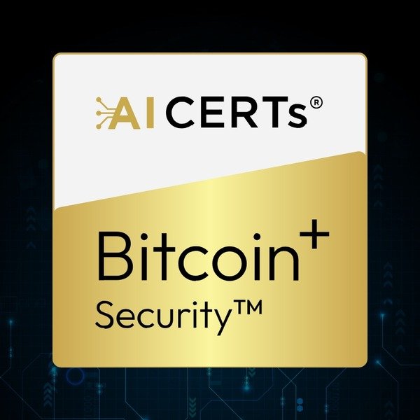 Securing the Assets: Bitcoin Security