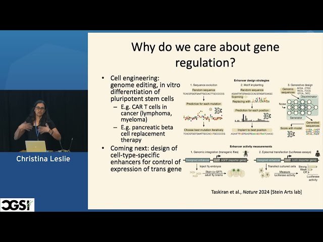 Decoding Gene Regulation in 3D and in Single Cells