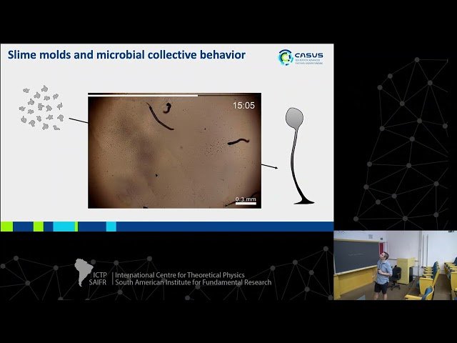 Imperfect Coordination in Collective Behaviors Across Scales: From Microbial Aggregates to Ungulate Migration