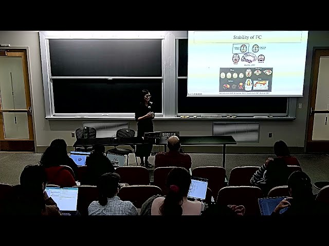 Dynamic Functional Connectivity