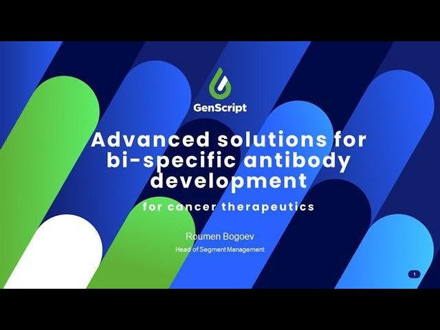 Advanced Solutions for Bi-Specific Antibody Development for Cancer Therapeutics