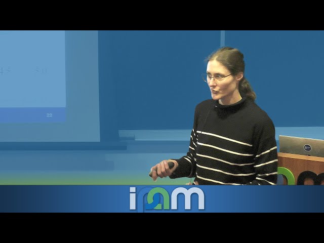 Double Layer Properties at the Atomic Scale