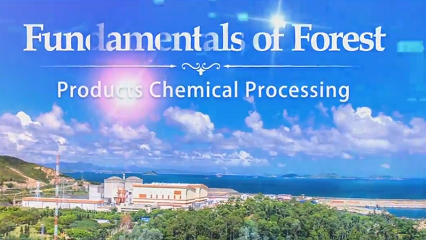 Fundamentals of Forest Products Chemical Processing