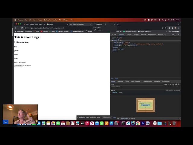 Free Video 1 Hour Coding Introduction From Code With Ania Kubów Free Video 1 Hour Coding Introduction From Code With Ania Kubów