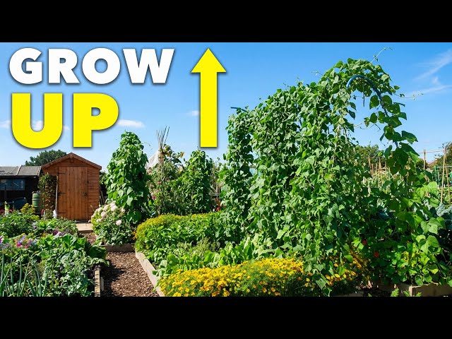 Double Harvests in Small Garden Spaces - Grow Vertically