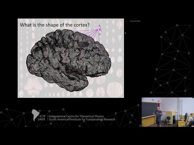 The Physical Origins of Brain Cortical Morphology - Class 2