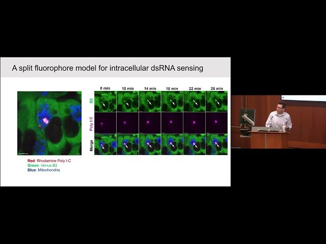 Defining and Targeting Tumor Inflammatory States