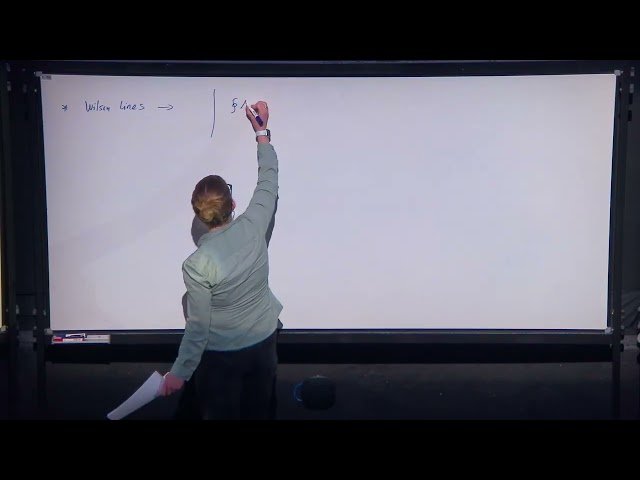 Topology, Hidden Information and Phases of Matter - Class 2