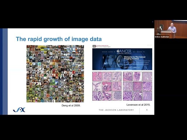 Deciphering Cancer from Spatial Analysis of Human and Mouse Tumors