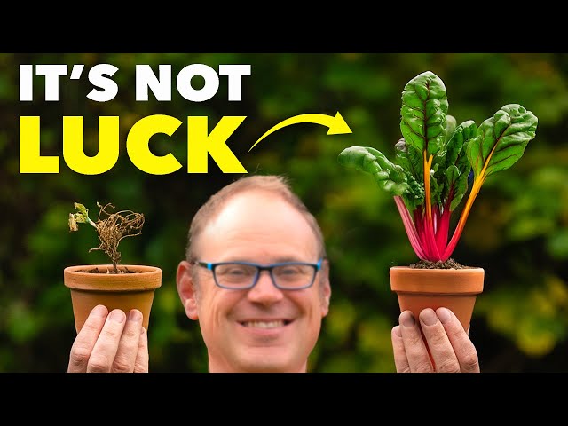 The Clever Way Smart Gardeners Stop Plants from Dying - Essential Steps for Gardening Success