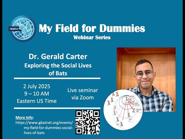 Social Lives of Bats - My Field for Dummies