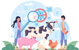 Gender in Livestock Development