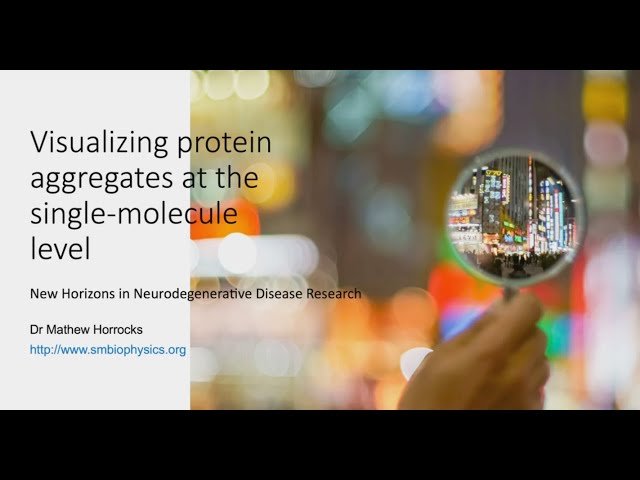 Visualizing Protein Aggregates at the Single-Molecule Level