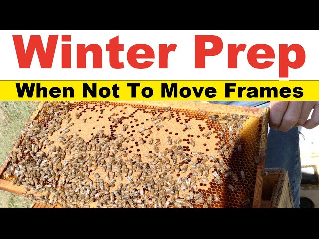 Beekeeping - Why Frame Placement Matters in Fall