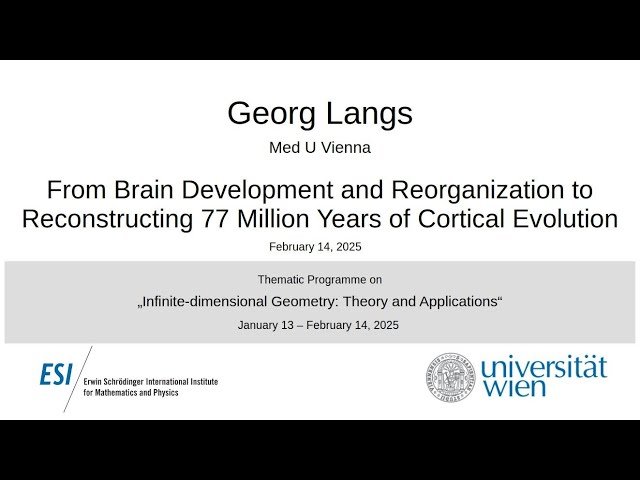 Infinite-Dimensional Geometry - Theory and Applications