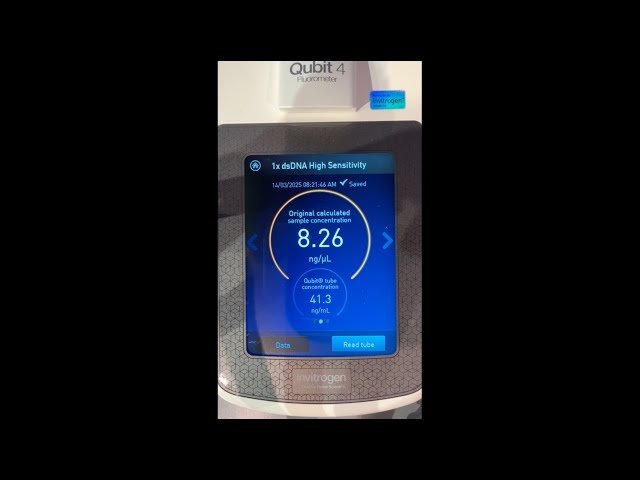 Educator's Guide to Nanopore - Microbial Isolates: DNA Quantification with Qubit