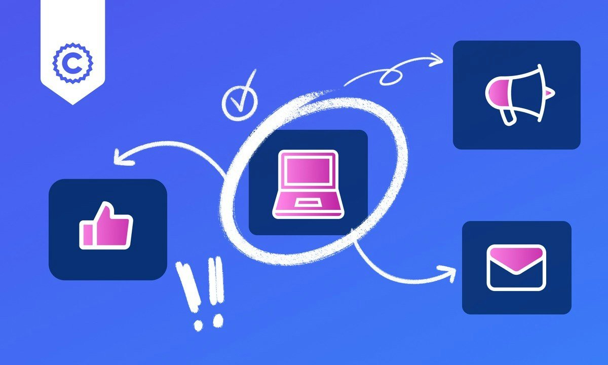 Marketing Material Design in Canva