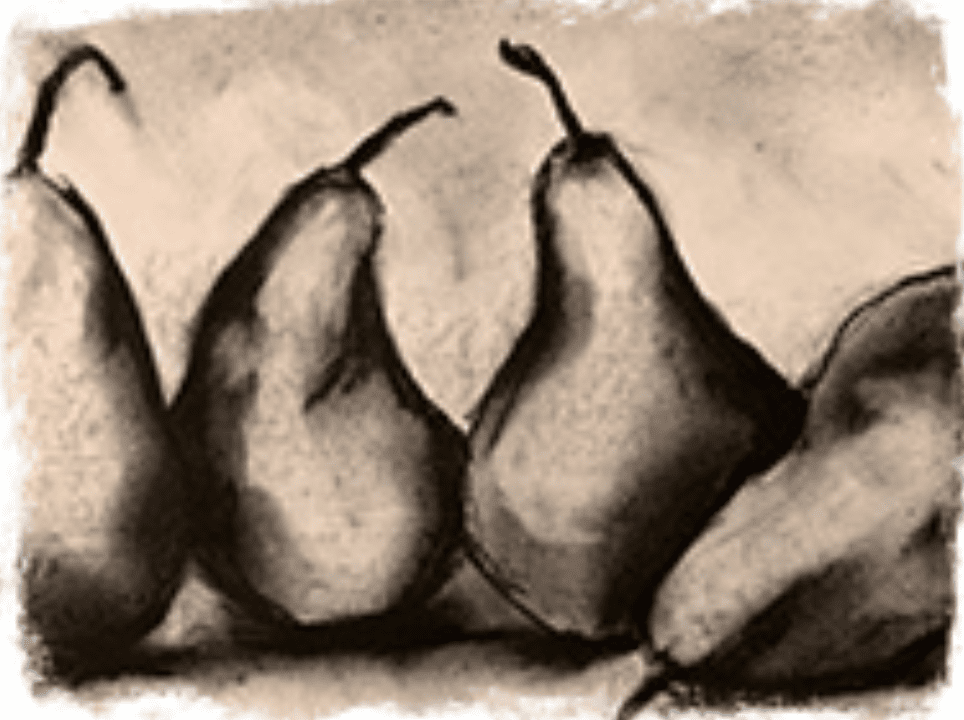 Fear-Free Beginners Drawing (Live Online)