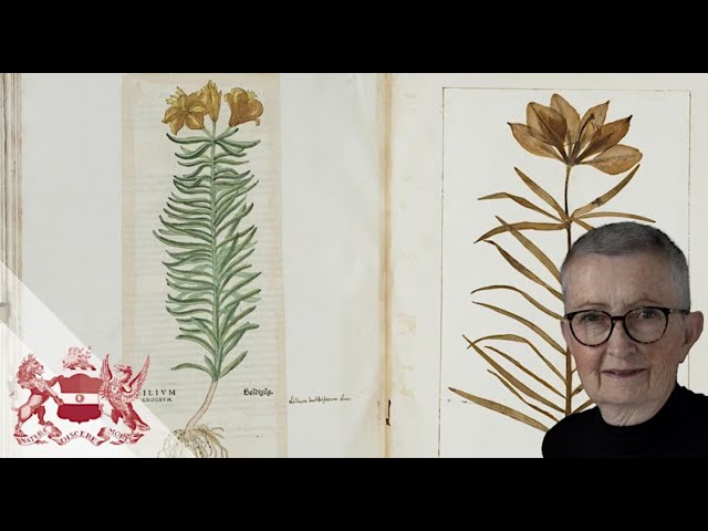 Plant Specimens Aren't Flat - The Many Dimensions of Herbaria