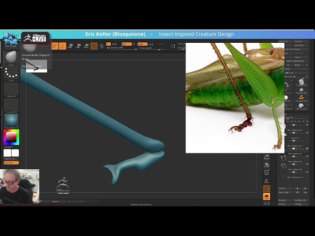 Insect-Inspired Creature Design in ZBrush 2025