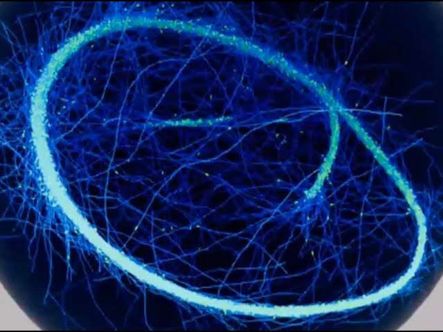 Cell Patterning for Division and Growth