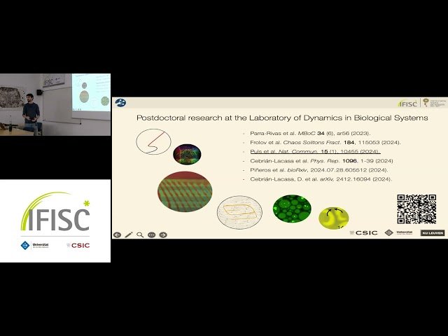 Spatial Heterogeneity Accelerates Phase-to-Trigger Wave Transitions in Frog Egg Extracts