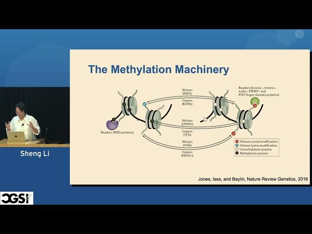DNA Methylome Analysis - From Short-Read to Long-Read Sequencing Technologies