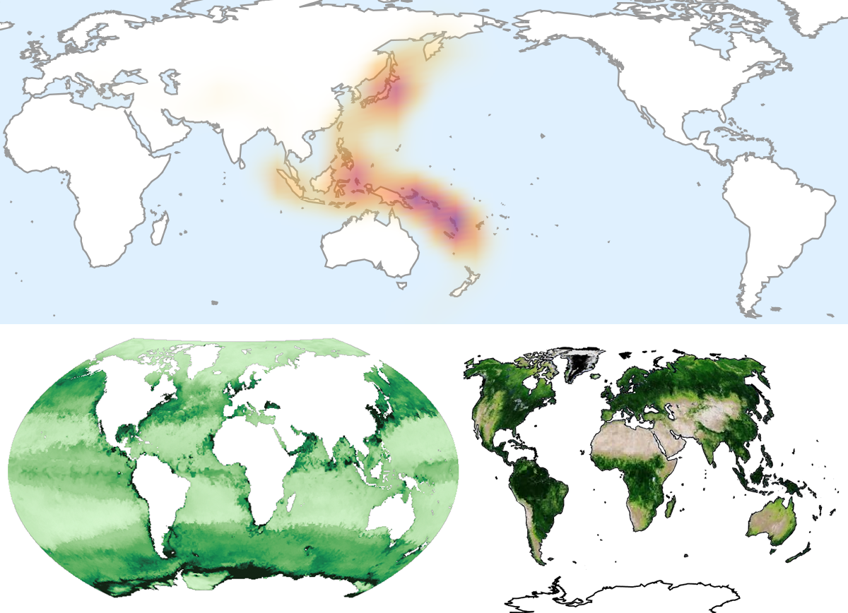Ecology and Environmental Science Modeling in Wolfram Language: Wolfram U Free Webinar