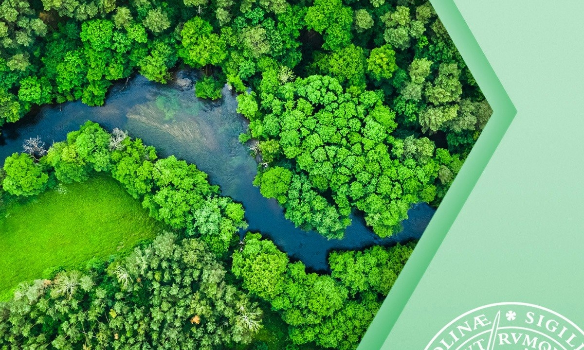 Climate Adaptation and Human Rights